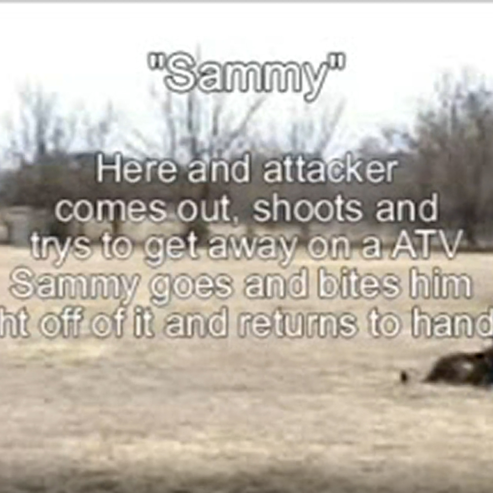 ATV gun attack, video